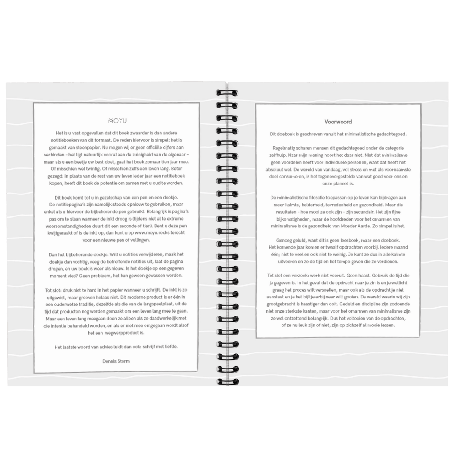 dennis-storm-minimalism-A5-workbook-intro