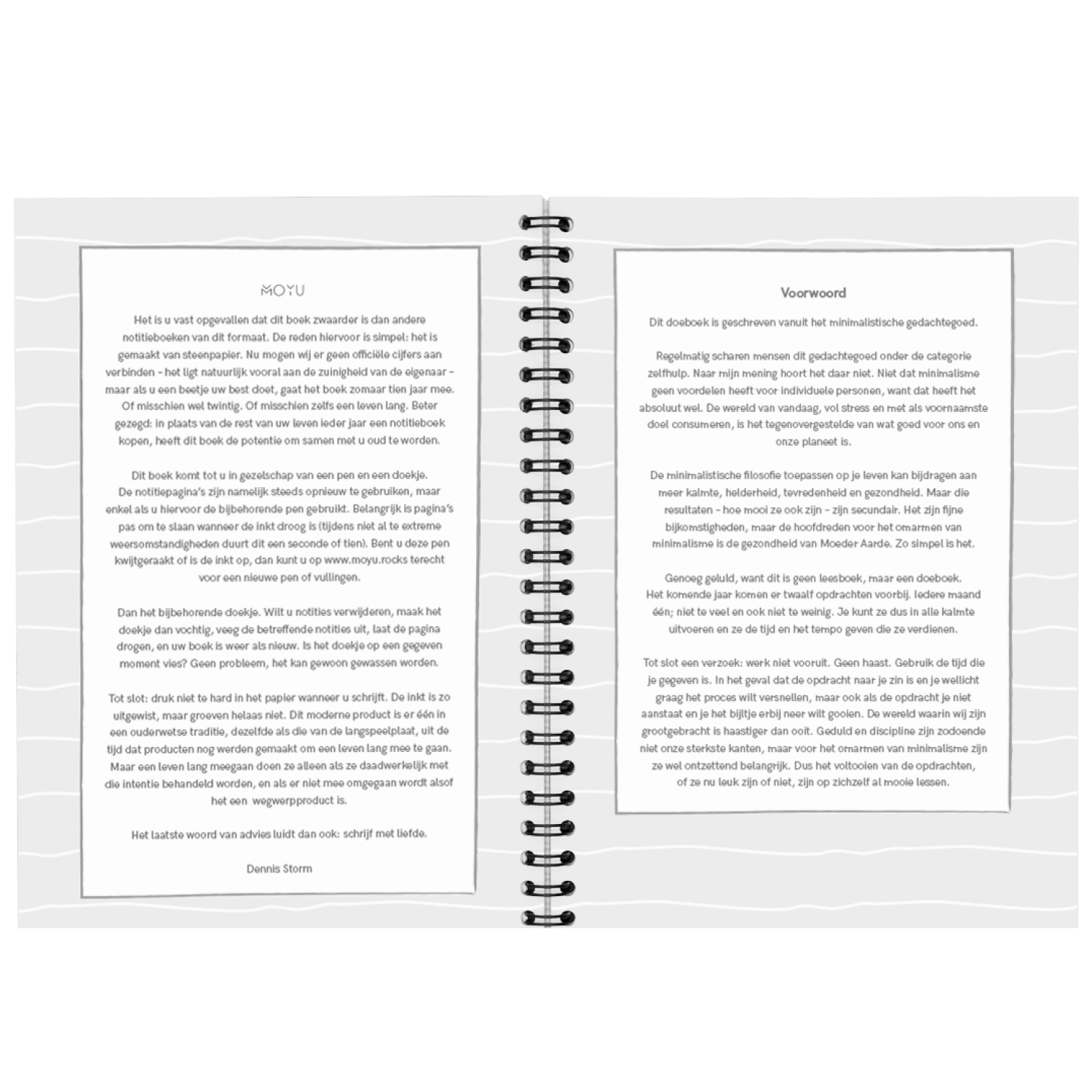 dennis-storm-minimalism-A5-workbook-intro