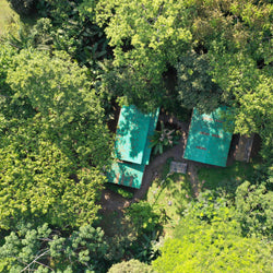 conservation-grounds-in-costa-rica-rainforest