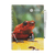 Erasable Notebook A5 - Reddish Frog