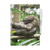 Erasable Notebook A5 - Furry Sloth