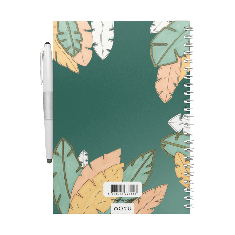 Erasable notebook A5 Soul Compass back cover
