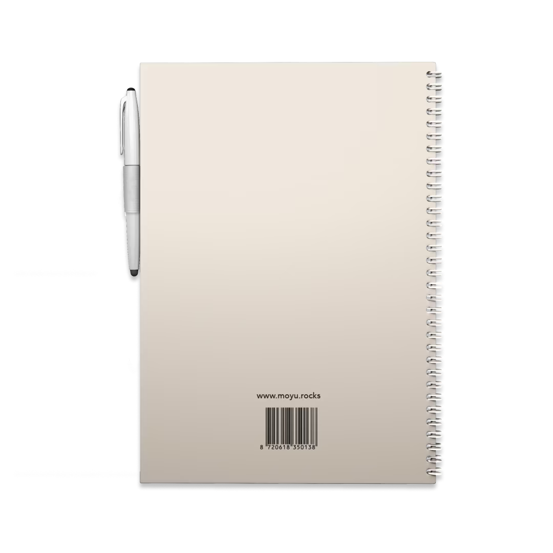 Erasable Notebook A5 - Flamingo Desert