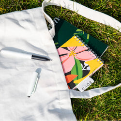nature-on-rocks-erasable-notebooks-in-a-bag