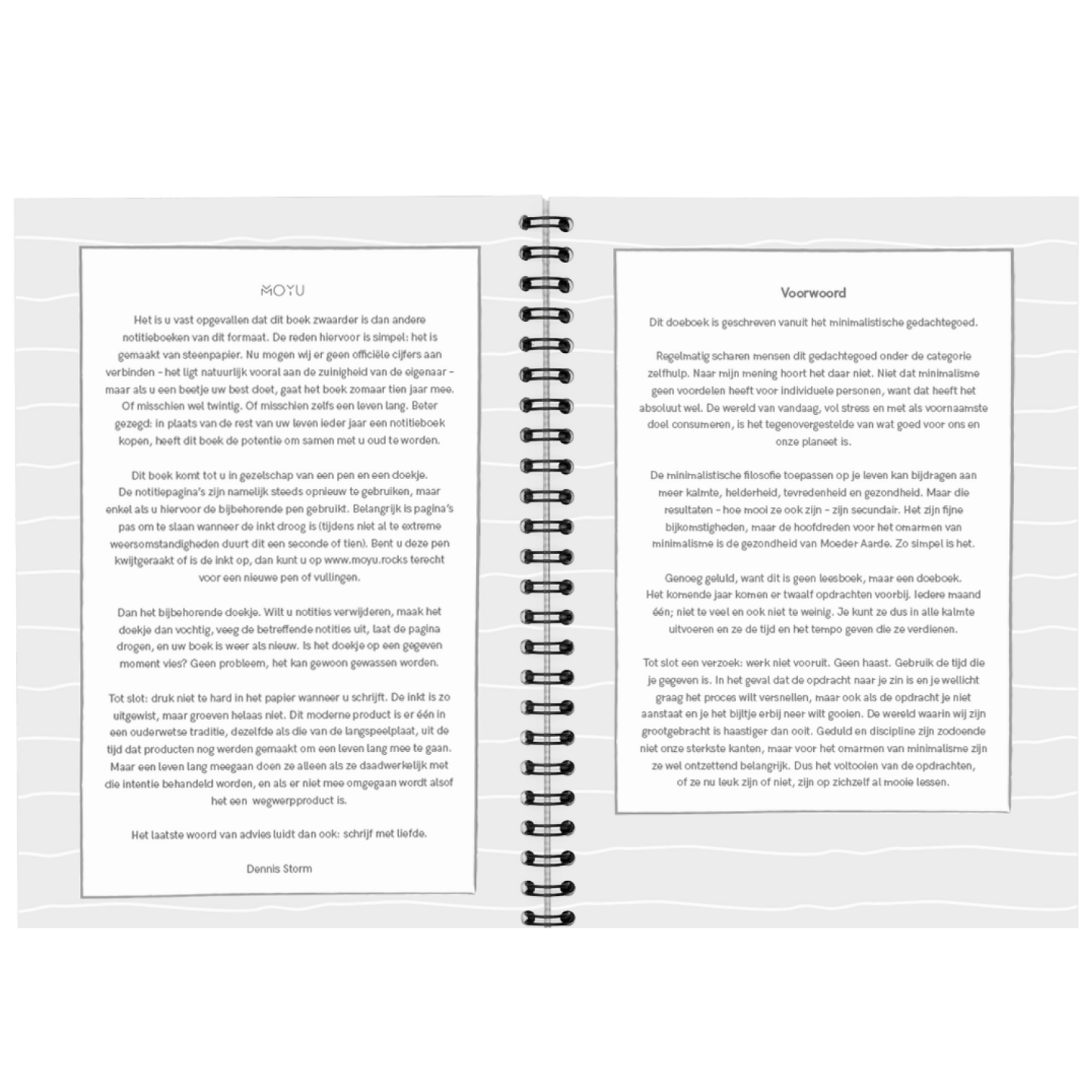 dennis-storm-minimalism-A5-workbook-intro