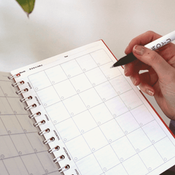 Month plan in reusable agenda