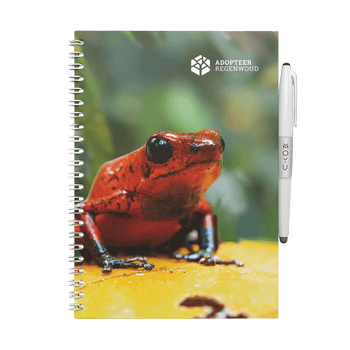 Adop-Rainforest-MOYU-A5-front-cover-frog
