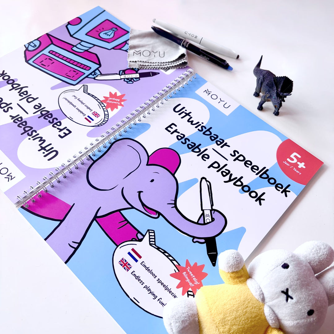 2-in-1 Erasable Kid's Playbook