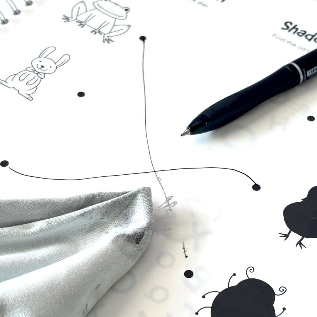 2-in-1 Erasable Kid's Playbook