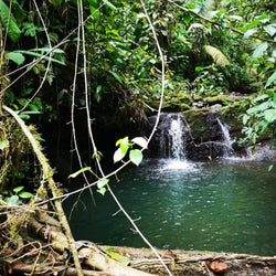 beautiful-lake-in-costa-rica-rainforest