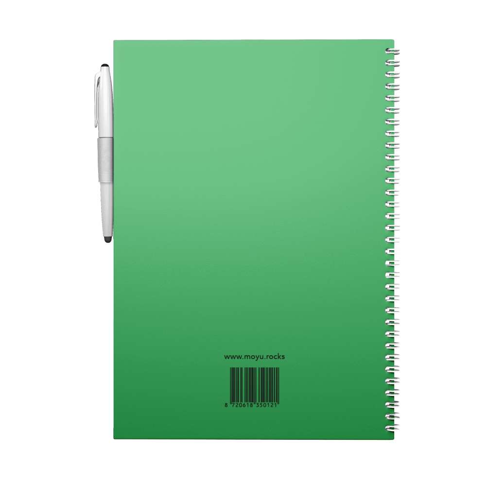 Erasable notebook A4 Flashy Moss back cover