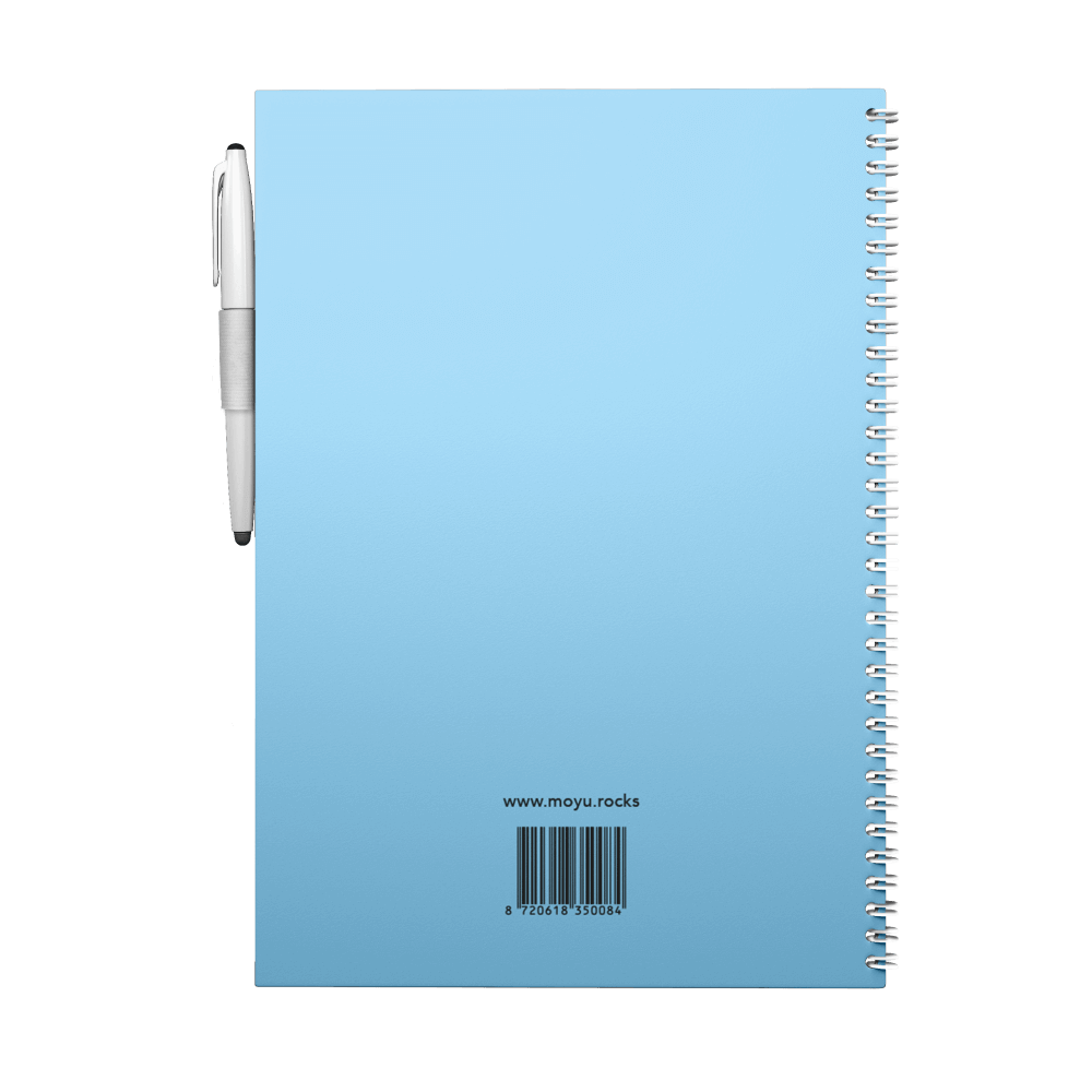 Erasable notebook A4 Rocky Ice back cover