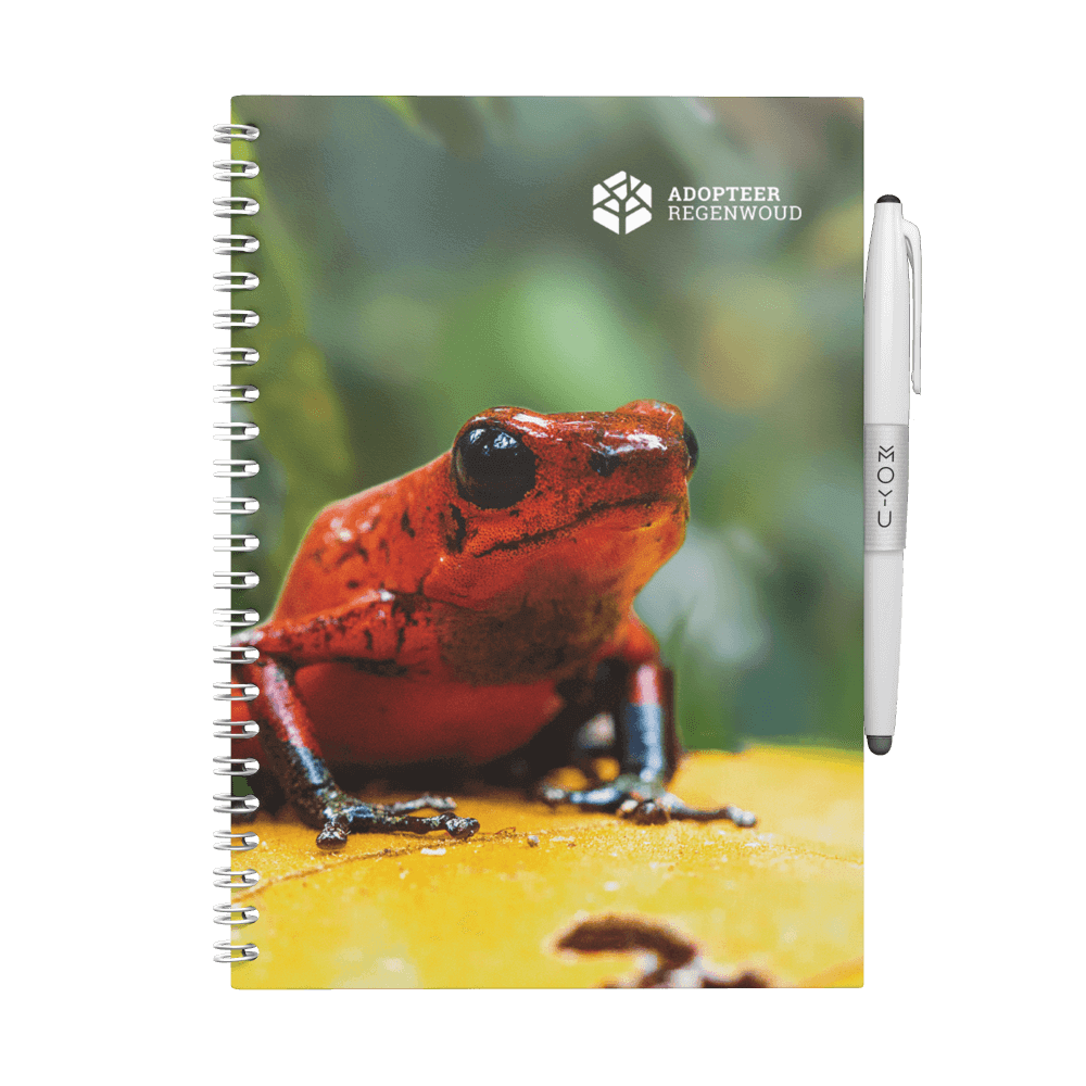 Erasable notebook A5 Adopt Rainforest Reddish Frog front cover