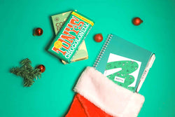 green-forest-erasable-notebook-in-a-santa-sock