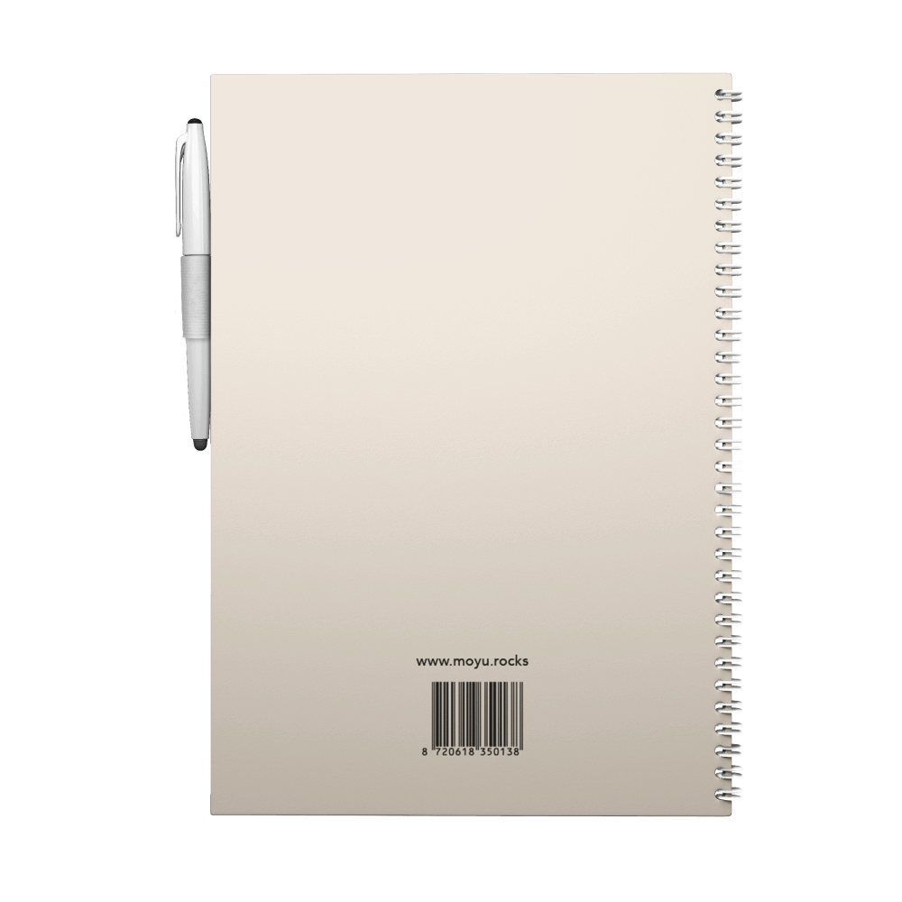 moyu-back-to-stone-notebooks-flamingo-desert-A4-back-cover