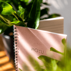 notebook-bundle-hardcovers-pink-planter