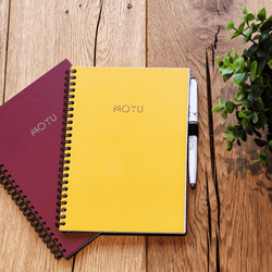 notebook-bundle-hardcovers-ruby-rose-and-young-yellow
